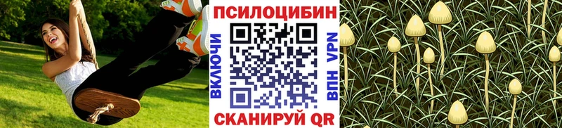 наркота  Щёлкино  Псилоцибиновые грибы ЛСД 